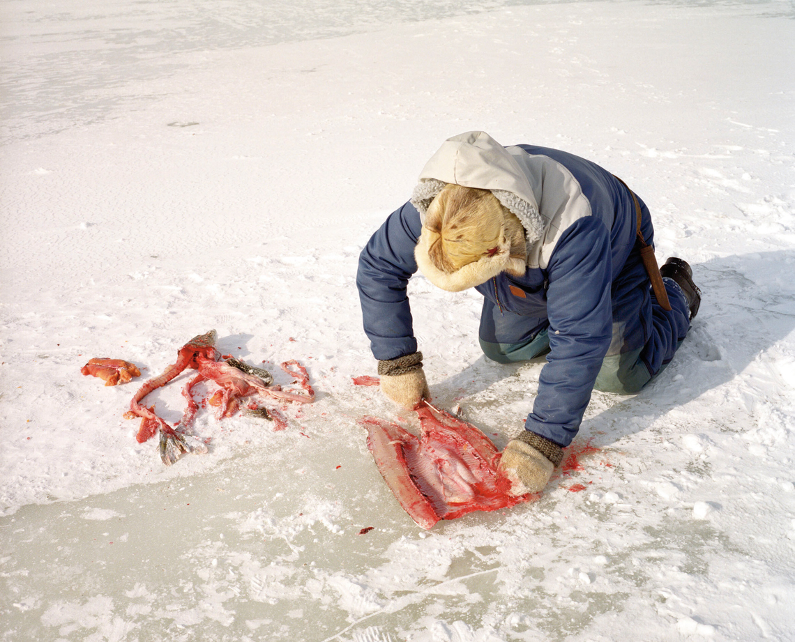 Man squats on the ice and cleans fish. Photo.