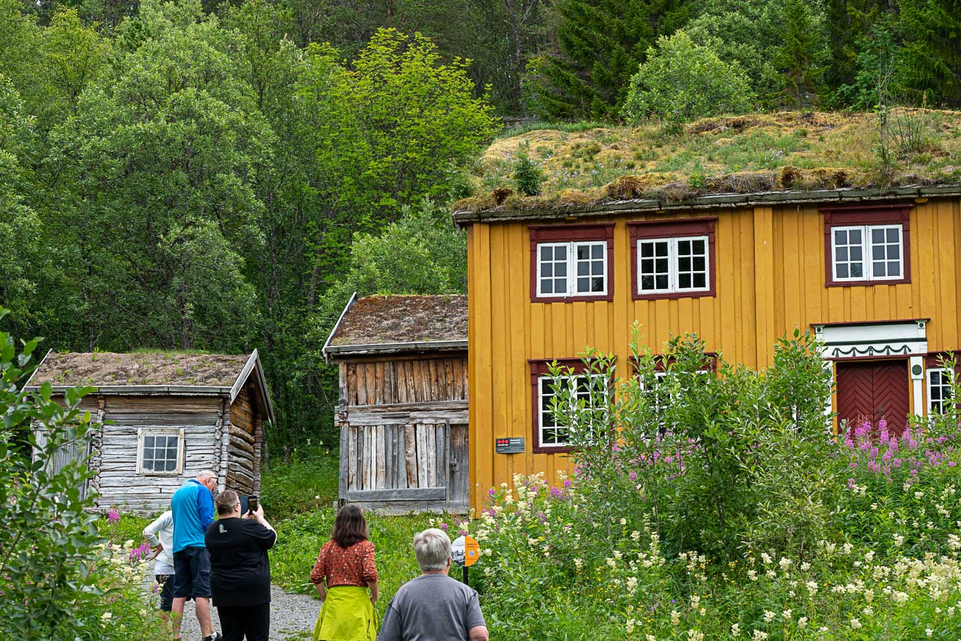 Old yellow house surrounded by trees