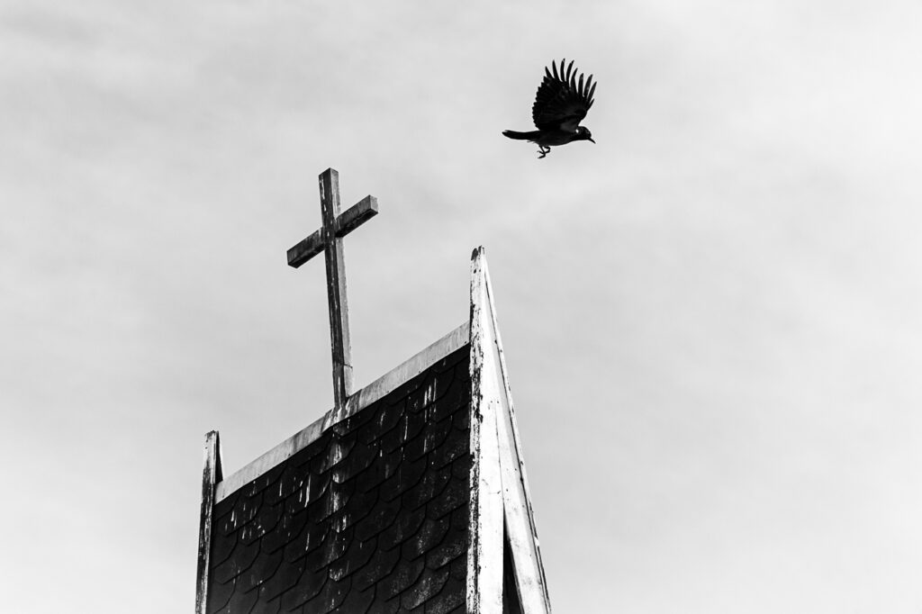 Kråke flyger forbi kors på tak av kirke